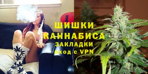 ГАЛЛЮЦИНОГЕННЫЕ ГРИБЫ Протвино