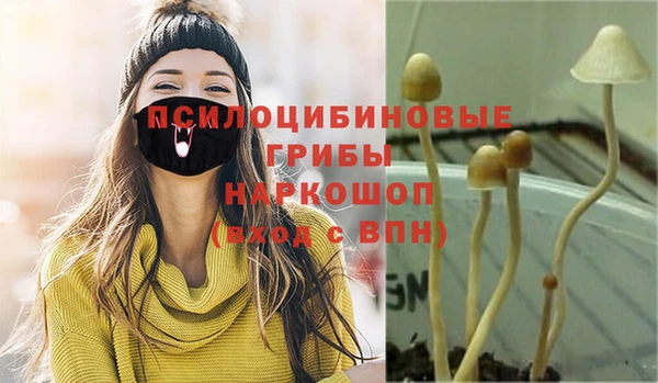 гашиш Приозерск