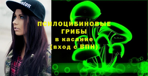 ГАЛЛЮЦИНОГЕННЫЕ ГРИБЫ Протвино