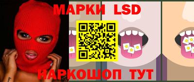 гидропоника Краснознаменск