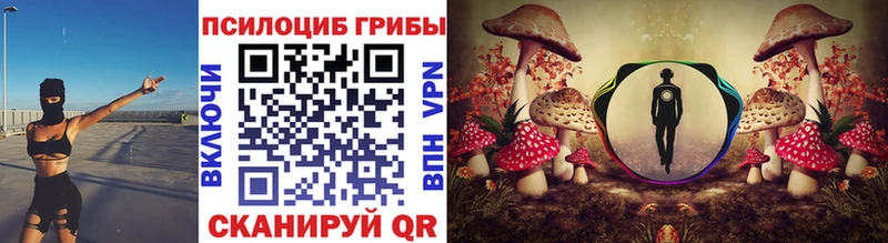 Псилоцибиновые грибы мицелий  даркнет сайт  Керчь 