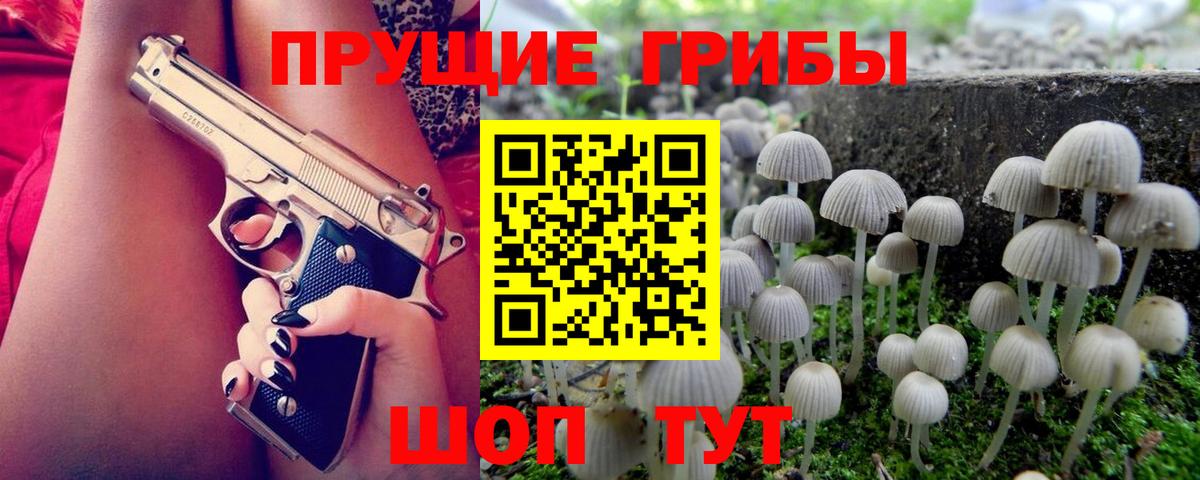 Галлюциногенные грибы Psilocybe  Вход с VPN  Псилоцибиновые грибы мухоморы  дарнет шоп  Керчь 