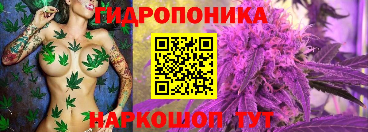 Бошки марихуана OG Kush Керчь